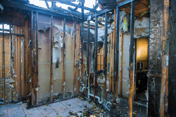 Professional Emergency Fire Cleanup technician working in New Union, TN